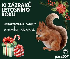 Adventní výzva záchranné stanice Vlašim: 24 dobrých skutků